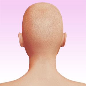 face rear