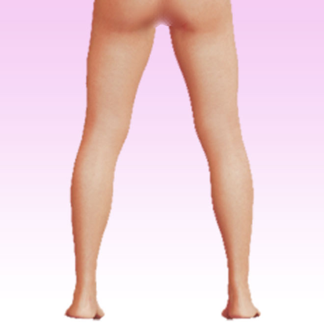 leg rear